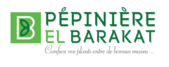Pépinière El Barakat – منبت البركات